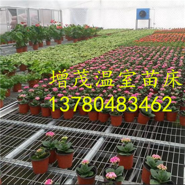 溫室<a href='/' target='_blank'><a href='http://www.10lai.cn/miaochuangsheshi/203.html'target='_blank'>花架網(wǎng)</a></a>廠家
